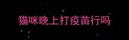 猫咪晚上打疫苗行吗