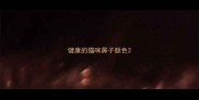 健康的猫咪鼻子颜色