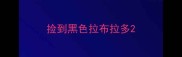 捡到黑色拉布拉多