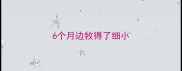 6个月边牧得了细小