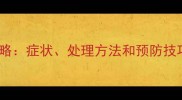 狗狗发情期全攻略症状处理方法和预防技巧附护理清单