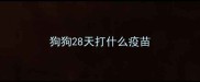 狗狗28天打什么疫苗