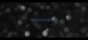 狗狗成年疫苗英特威