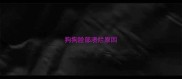 狗狗脸部溃烂原因