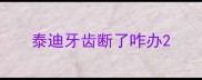 泰迪牙齿断了咋办