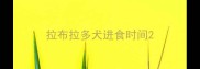 拉布拉多犬进食时间