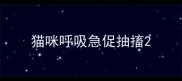 猫咪呼吸急促抽搐