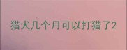 猎犬几个月可以打猎了