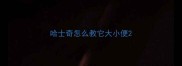 哈士奇怎么教它大小便
