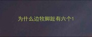 为什么边牧脚趾有六个