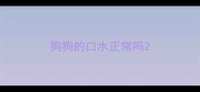 狗狗的口水正常吗