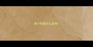 最小狗是什么品种