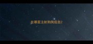 在哪里注射狗狗疫苗