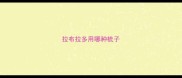 拉布拉多用哪种梳子