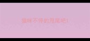 猫咪不停的甩尾吧
