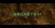 拉布拉多笼子大小