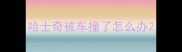 哈士奇被车撞了怎么办