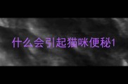 什么会引起猫咪便秘