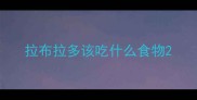 拉布拉多该吃什么食物