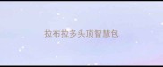 拉布拉多头顶智慧包