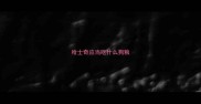 哈士奇应当吃什么狗粮