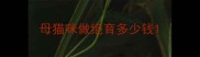 母猫咪做绝育多少钱