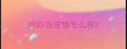 河虾当宠物怎么养