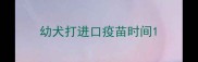 幼犬打进口疫苗时间