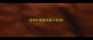 给狗打完疫苗瓶子处理