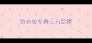 拉布拉多身上有跳槽