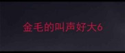 金毛的叫声好大6