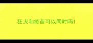 狂犬和疫苗可以同时吗