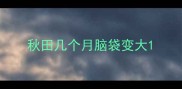秋田几个月脑袋变大
