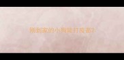 刚到家的小狗能打疫苗
