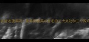 拉布拉多能吃菠菜吗营养师菠菜对金毛的三大好处和三个致命风险