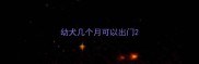 幼犬几个月可以出门