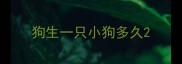 狗生一只小狗多久