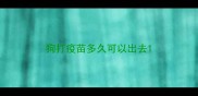 狗打疫苗多久可以出去