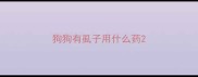 狗狗有虱子用什么药