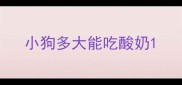 小狗多大能吃酸奶