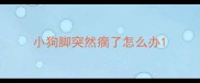 小狗脚突然瘸了怎么办