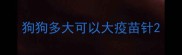 狗狗多大可以大疫苗针