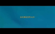 金毛嘴起泡怎么办