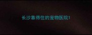 长沙靠得住的宠物医院
