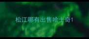 松江哪有出售哈士奇