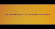 泰迪犬脚趾甲断裂全攻略从应急处理到科学护理的完整指南