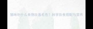 猫咪吃什么食物改善毛色科学饮食搭配与营养