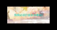 狗狗必须打疫苗有哪些