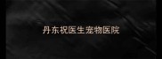 丹东祝医生宠物医院