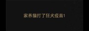 家养猫打了狂犬疫苗